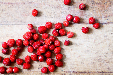 Similar image 22388069