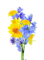 Similar image 22388074