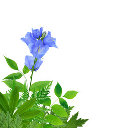 Similar image 22388077