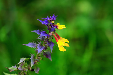 Similar image 22388080