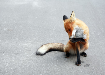 Similar image 22388083