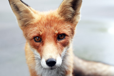 Similar image 22388085