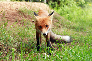 Similar image 22388088