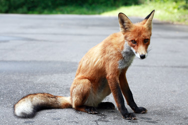 Similar image 22388089