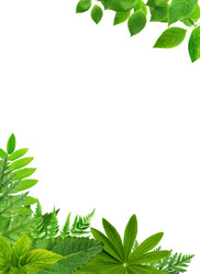 Similar image 22388090