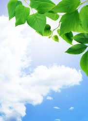 Similar image 22388091