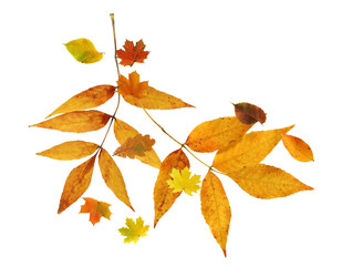 Similar image 22388099