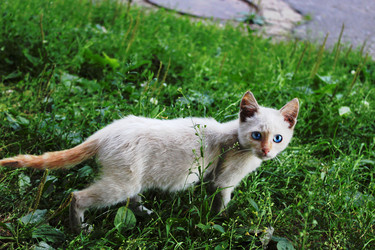 Similar image 22375104