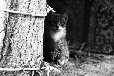 Similar image 22375105