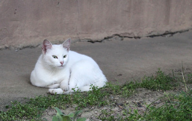 Similar image 22375106