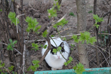 Similar image 22375121