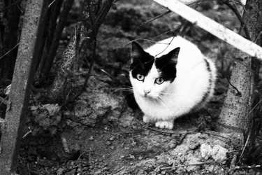 Similar image 22375123