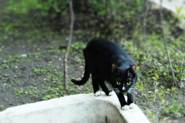 Similar image 22375136