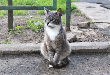 Similar image 22375137