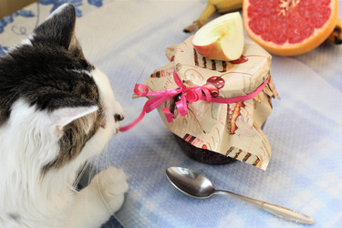 Similar image 22375186