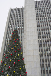 Similar image 22372844