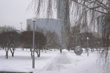 Similar image 22372893