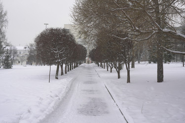 Similar image 22372907