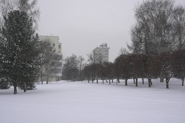 Similar image 22372909