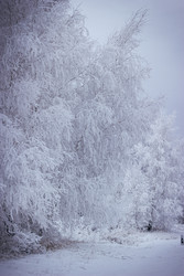 Similar image 22359664