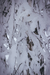 Similar image 22359665