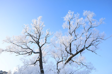 Similar image 22353248