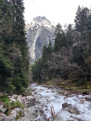 Similar image 22357511