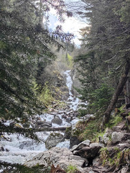 Similar image 22357516