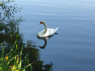 Similar image 22357548