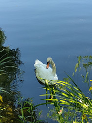 Similar image 22357550