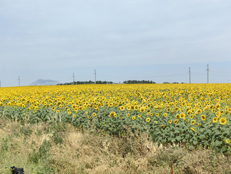 Similar image 22355119