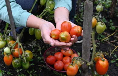 Similar image 22372954