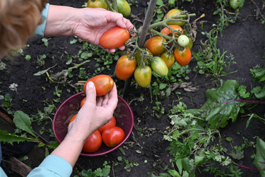 Similar image 22372955