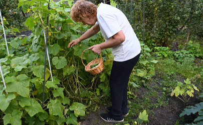 Similar image 22372956