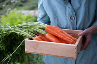 Similar image 22372966