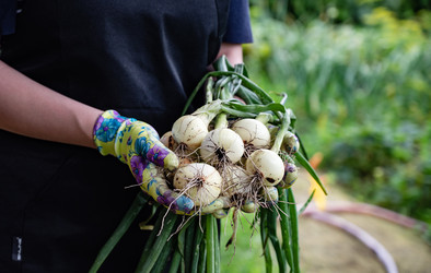 Similar image 22372967