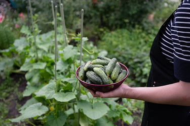 Similar image 22372968