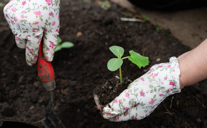 Similar image 22372971