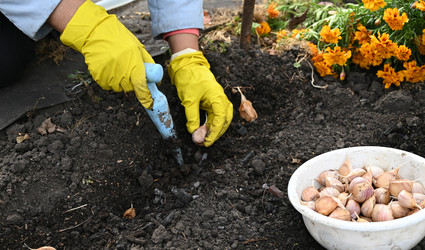 Similar image 22372972