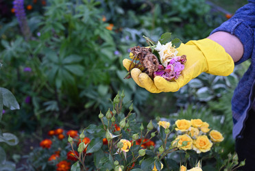 Similar image 22372973