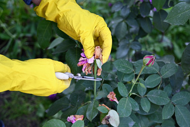 Similar image 22372974