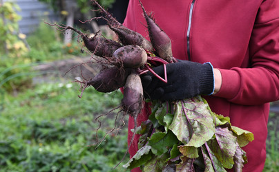 Similar image 22372975