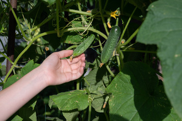 Similar image 22372979