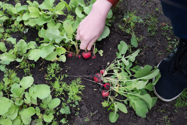 Similar image 22372983