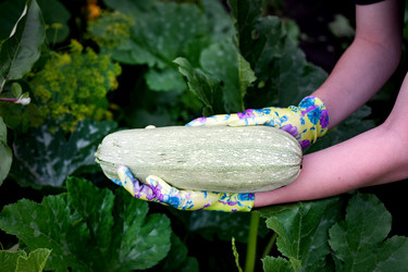 Similar image 22372992