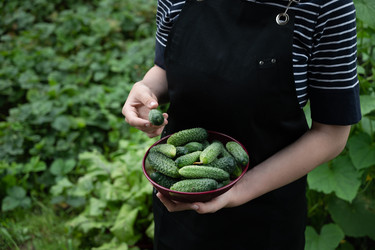 Similar image 22372993