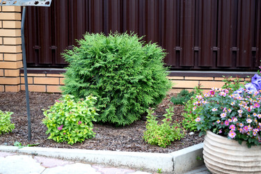 Similar image 22373007