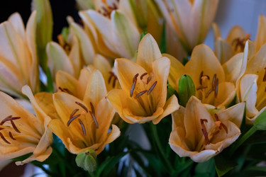 Similar image 22373008