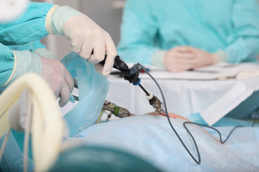 Similar image 22359508