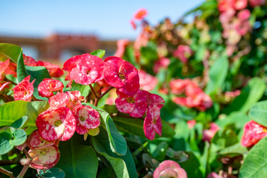 Similar image 22354839